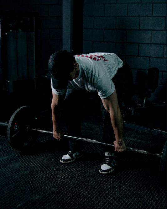 Programa de entrenamiento